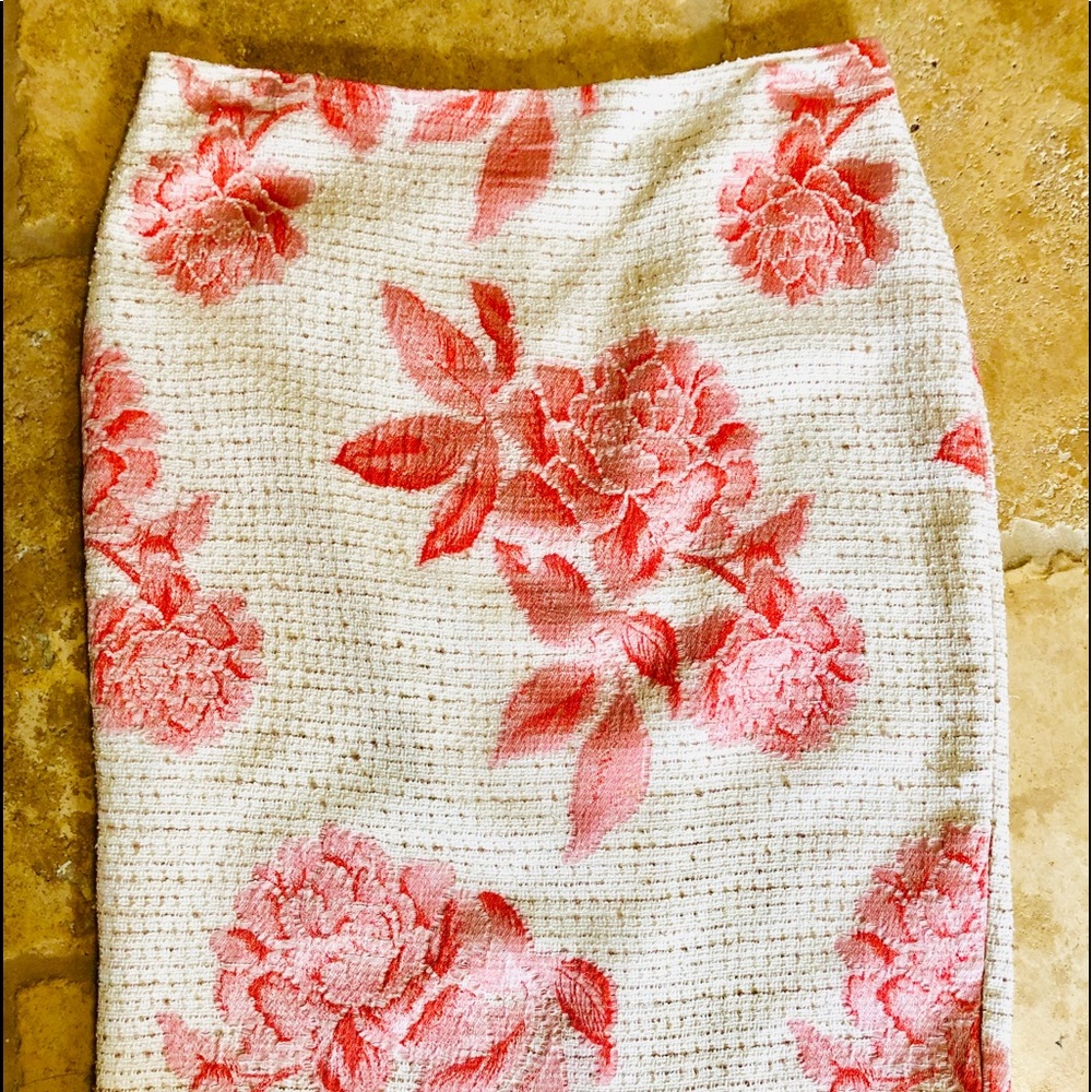 Ann Taylor Pencil Skirt